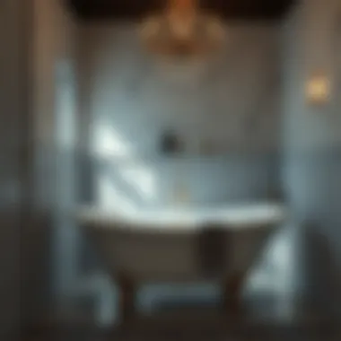 Magnificent Exploring the Easy Pro Bath Express