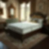 Best Mattress Protector for Dust Mites and Bed Bugs Introduction