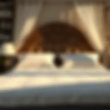 Best Mattress Protector for Dust Mites and Bed Bugs Summary