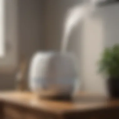 User-Friendly Design of a Top Fill Humidifier Close-up of a top fill humidifier demonstrating its user-friendly design