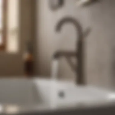 Maintenance Tips for Longevity A well-maintained Brizo faucet highlighting proper maintenance techniques.