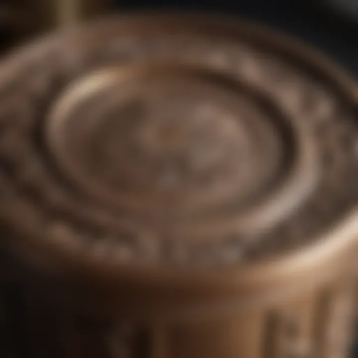 Close-up of a bronze trash can lid showing intricate design details