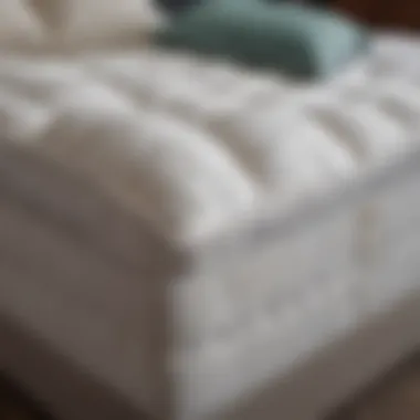 Experience Luxury with the Costco Mattress Topper Luxurious feel of the mattress topper