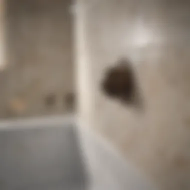 Showcasing Craftsmanship of Bath Tub Shower Seat Close-up view of a bath tub shower seat showcasing craftsmanship