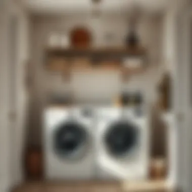 Minimalist laundry room showcasing functional yet stylish decor elements