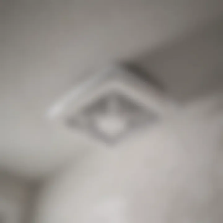 Sleek low profile bathroom fan design