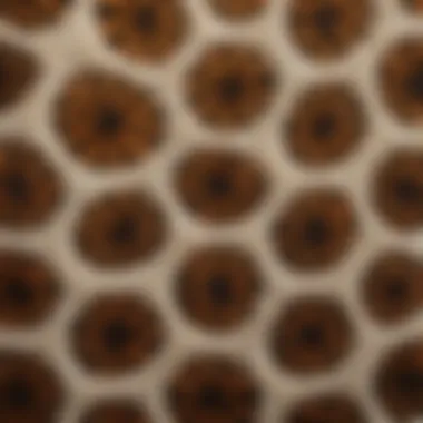 Close-up of soft texture and intricate design of an animal print bath mat