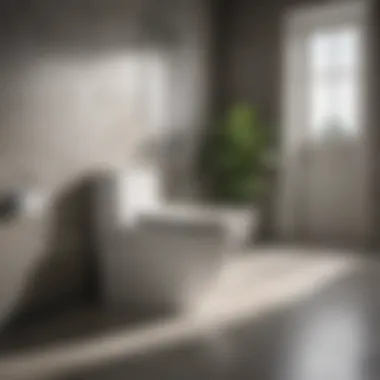 Modern Elegance: Bidet in Contemporary Bathroom Elegant bidet design in a modern bathroom setting