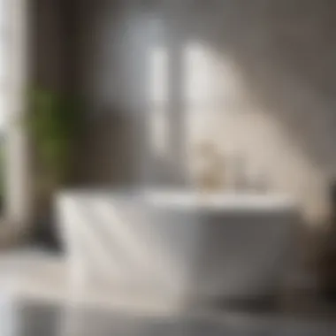 Elegant Renovated Bathtub Renovated bathtub showcasing elegant design