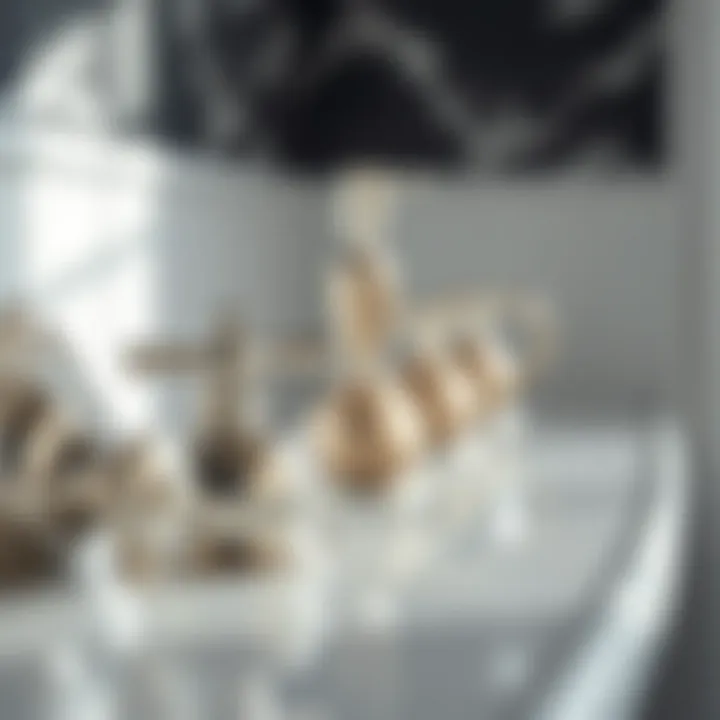 Close-up of elegant silver finishes on bath accessories