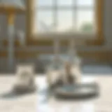 Luxurious Silver Bath Accessory Set Luxurious silver bath accessory set showcased on a marble countertop