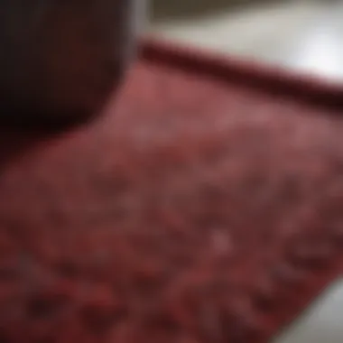 Close-up of Garnet Hill bathroom rug showcasing intricate texture