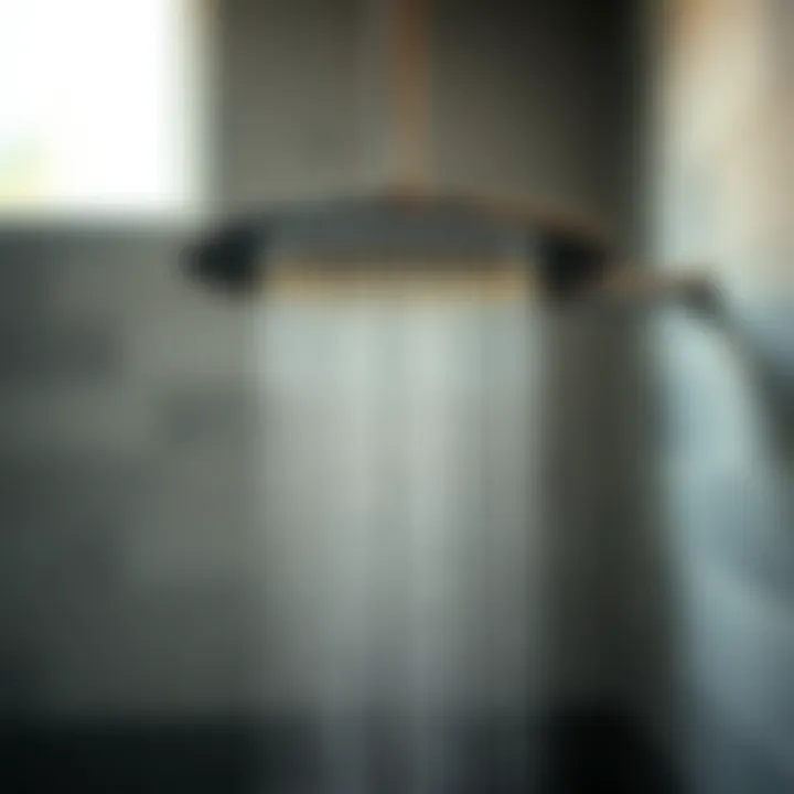 Stylish Showerhead Design Stylish showerhead in a modern farmhouse setting