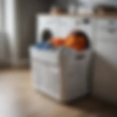 Functional laundry basket with compartments