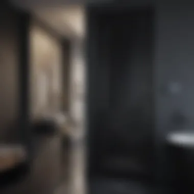 A Modern Take on Black Bathroom Doors Sleek black bathroom door with modern fixtures