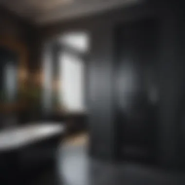 Creating Ambiance with Black Bathroom Doors Stylish bathroom featuring a black door and ambient lighting