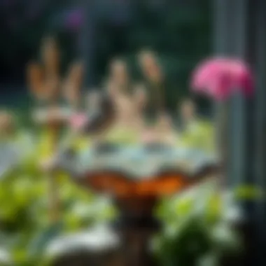 Exploring the Aesthetic Appeal of Small Glass Bird Baths Summary Exploring the Aesthetic Appeal of Small Glass Bird Baths Summary