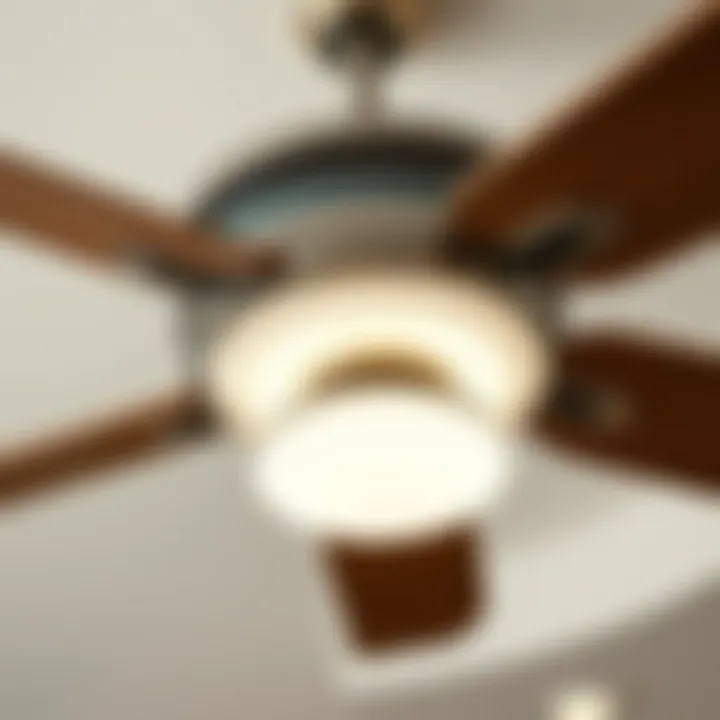 Close-up of a modern ceiling fan showcasing aesthetic features