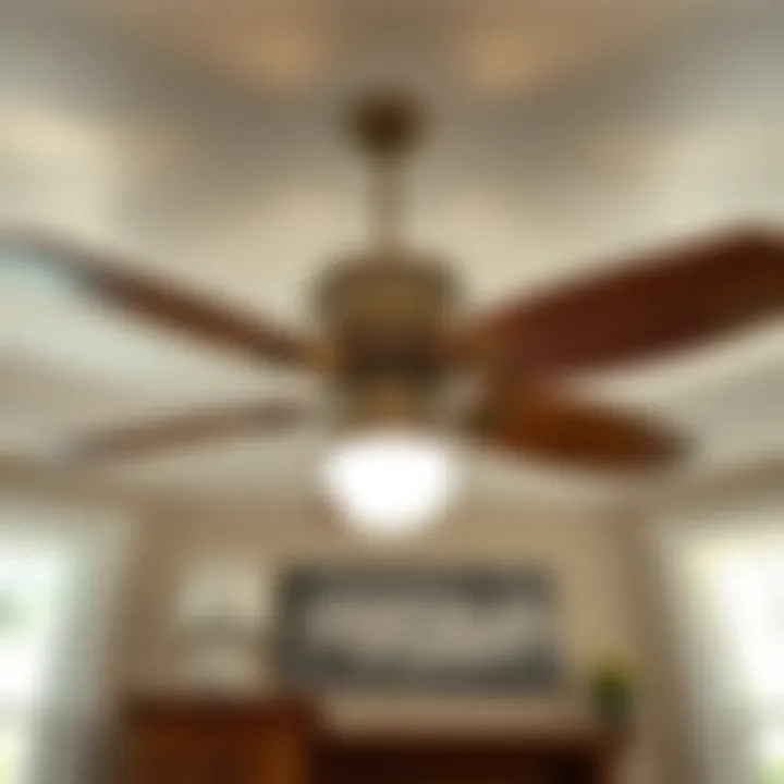 Maintenance tips for a quiet bedroom ceiling fan