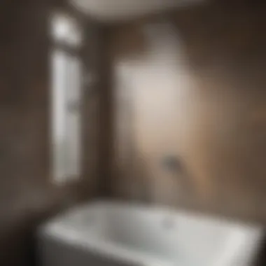 Maintenance Tips for Shower Towers Maintenance tips displayed alongside a shower tower for optimal performance