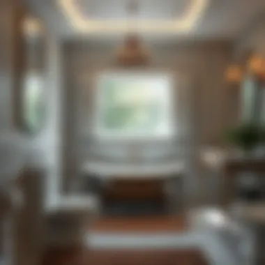 Exploring the Essence of Bathroom Design: A Comprehensive Overview Summary Exploring the Essence of Bathroom Design: A Comprehensive Overview Summary