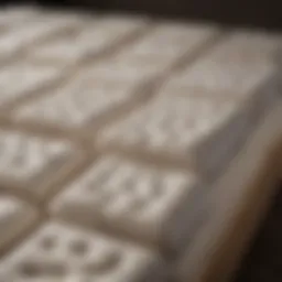 An elegant arrangement of various mattress types in a box, showcasing their unique features.