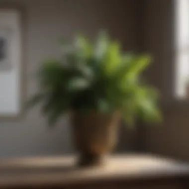 Stylish Indoor Plant Arrangement Stylish arrangement of indoor plants in home decor