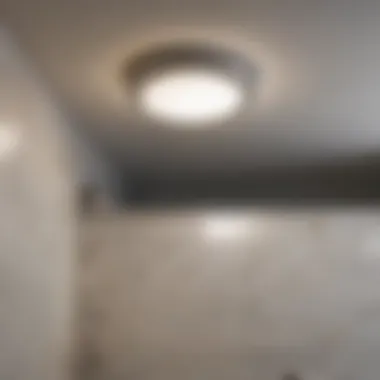 Elegant Ceiling Light Fixture Elegant ceiling light fixture in a modern bathroom