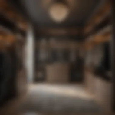 Maximizing Closet Space for Luxury Functional closet space with organized clothing and accessories