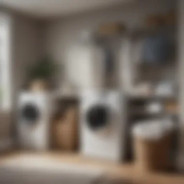 Diverse Styles of Laundry Hampers Innovative designs of laundry hampers displayed