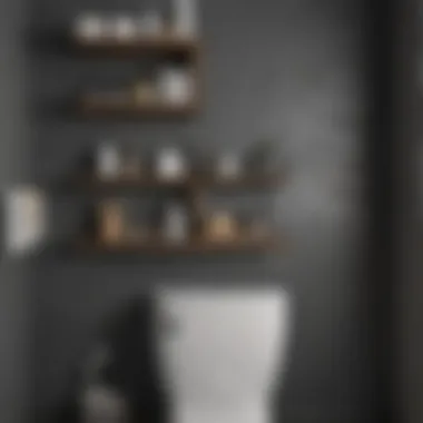 Utilizing Over-the-Toilet Shelving for Extra Storage Over-the-toilet shelving providing additional storage space