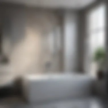 Installation Guide for Contemporary Bath Tub Shower Seat Guide to installing a bath tub shower seat in a contemporary setting