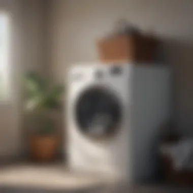 Practical Care for Laundry Hampers Maintenance tips for laundry hampers