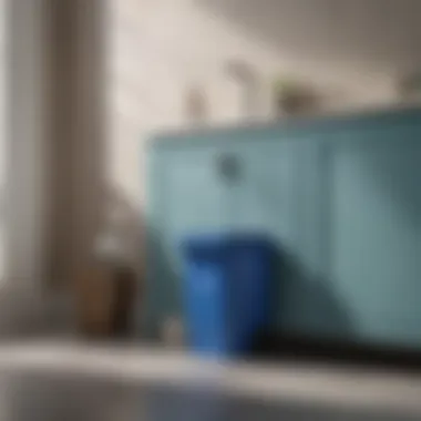 Essential Maintenance Tips for Your Blue Trash Can Maintenance tips for keeping a blue trash can looking new