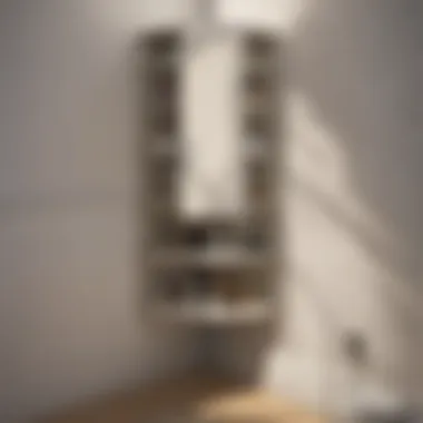 Innovative Corner Storage Innovative corner cabinet maximizing storage without crowding the area