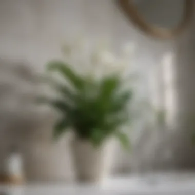 Aesthetic arrangement of peace lilies on a bathroom shelf