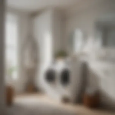 Elegant Tilt-Out Laundry Hamper Elegant tilt-out laundry hamper in a modern bathroom