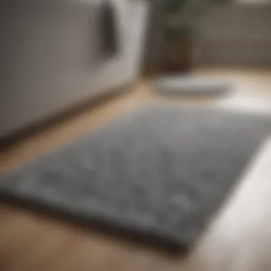 Variety of Bathroom Rugs Variety of bathroom rugs showcasing different materials