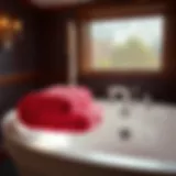 The Allure of Cranberry Bath Towels: A Comprehensive Exploration Introduction