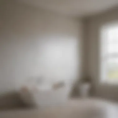Types of drywall suitable for humid environments displayed