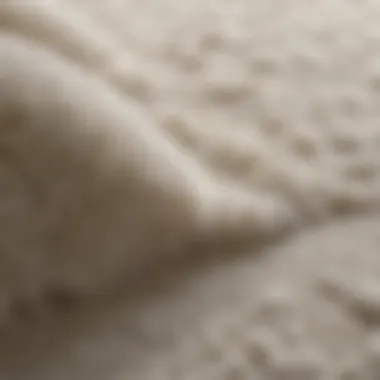 Close-up of a plush white rug showing texture and quality