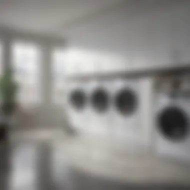 Technology and luxury in laundry management