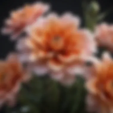 Close-up of realistic artificial flowers showcasing material quality