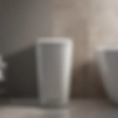 Sleek slim trash can with lid in a modern bathroom