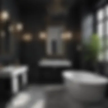 Elegant Black and White Bathroom Design Elegant bathroom showcasing a bold black and white color scheme