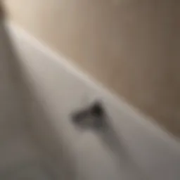 Close-up of a sleek bathtub overflow drain showcasing modern design